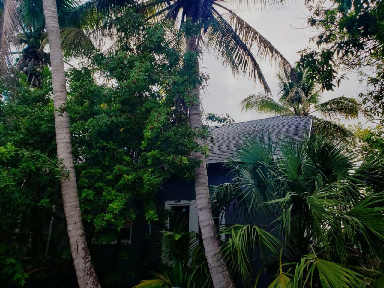 Old Cottage House Miami Exterior photo